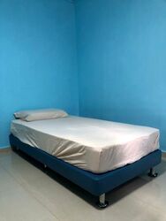Blk 239 Tampines Street 21 (Tampines), HDB 4 Rooms #576870261
